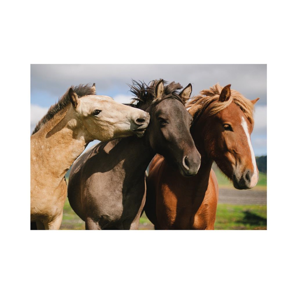 Puzzle Cai, 300 piese - DINO TOYS - imagine 4